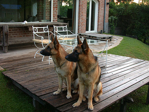 Jazz y Kenzo en el Deck exterior, Importante espacio cubierto con Alero de Hierro negro y Policarbonato hacia el Parque