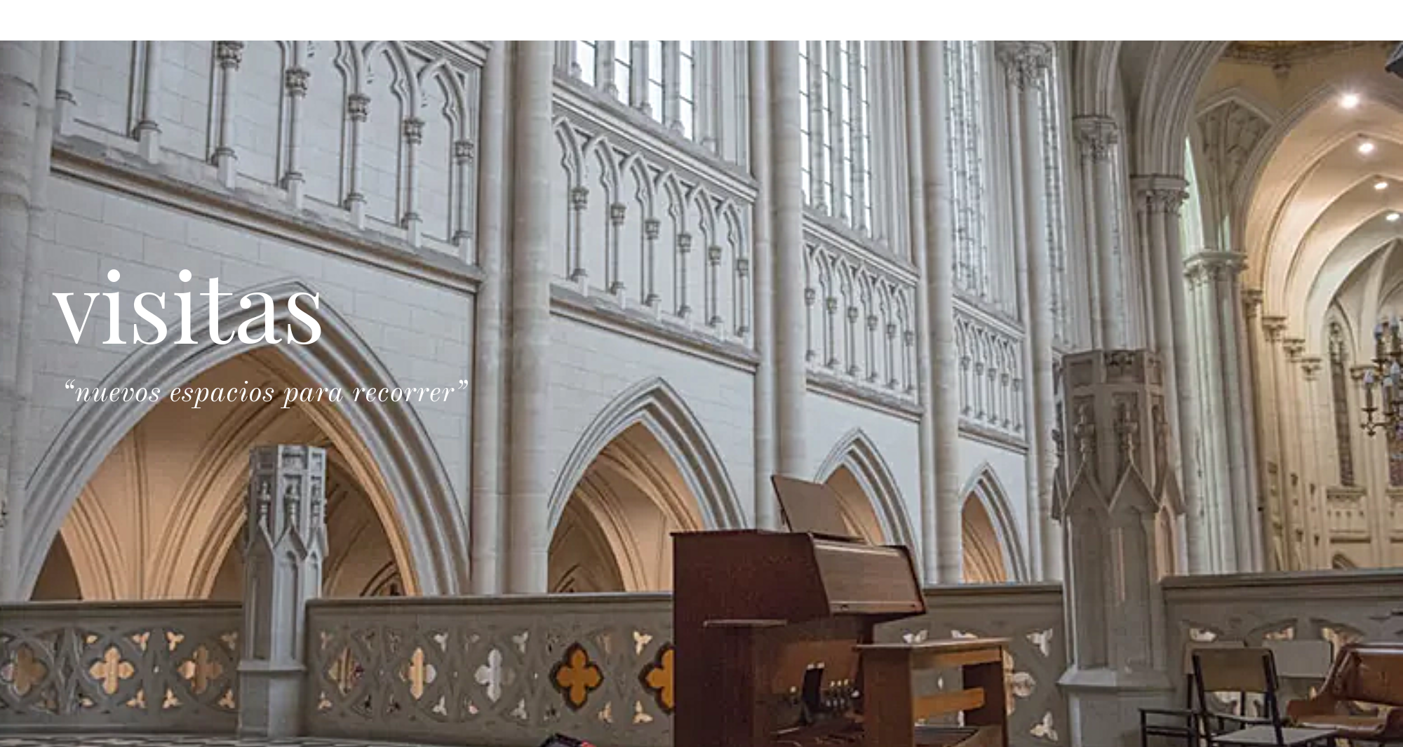 Imagen de los nuevos espacios de la catedral