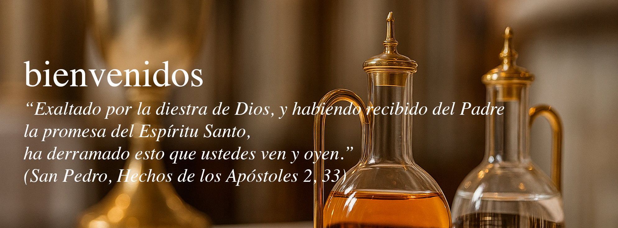 Bienvenidos a Efusión